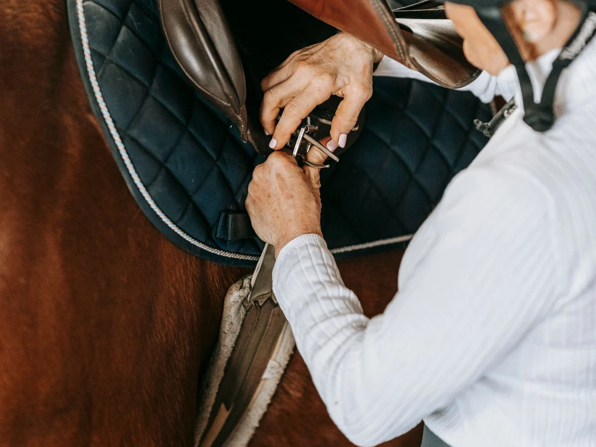 A rider checks the girth buckles beneath an English saddle flap.
