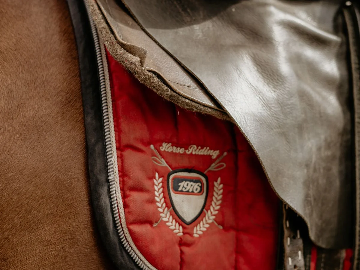 A red quilted saddle pad extends beneath a brown English saddle.