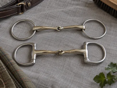 Close product still life of a polished loose-ring snaffle bit beside an eggbutt snaffle bit.