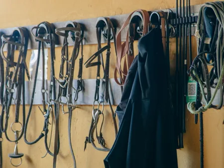 Leather bridles and other tack hang from wall hooks.
