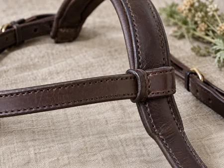 Macro view of the end loop of a plain leather equestrian browband threaded over a padded bridle headpiece.