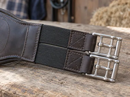 Macro of the end of a horse girth showing short dark elastic sections joining two roller buckles.