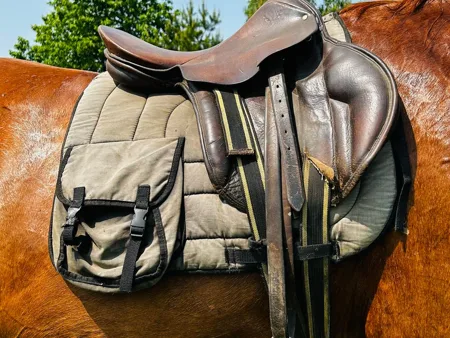 A brown English saddle with rounded flaps and stirrup leathers on a horse.