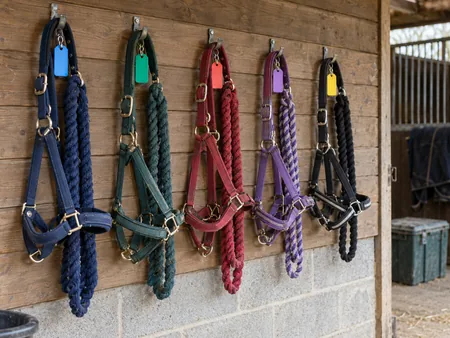 Several separate equestrian headcollars and lead ropes organised on hooks with distinct coloured blank tags.